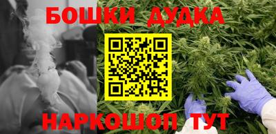 СК Дубна
