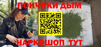 СК Дубна
