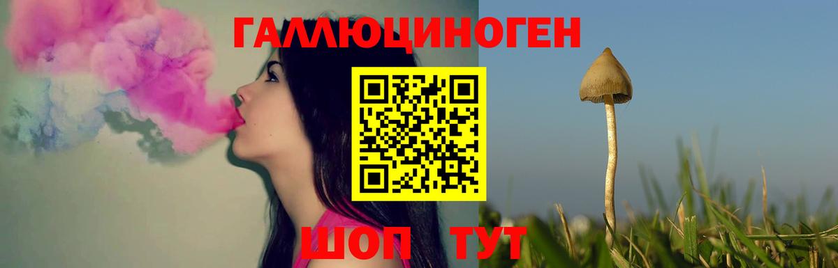 Галлюциногенные грибы ЛСД  Вход с VPN  Галлюциногенные грибы MAGIC MUSHROOMS  Мценск 